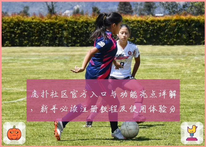 虎扑社区官方入口与功能亮点详解，新手必读注册教程及使用体验分享