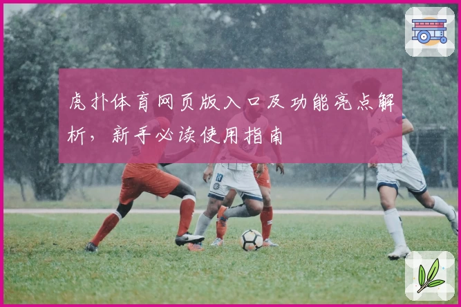 虎扑体育网页版入口及功能亮点解析,新手必读使用指南